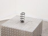Rear coil spring