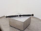 Drive shaft (set)