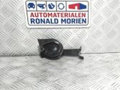 Signal sonore