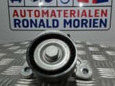 Riemenspanner Spannrolle Lichtmaschine