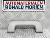 Front interior roof grab handle
