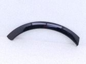 Moldura de la aleta delantera