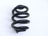 Muelle espiral trasero