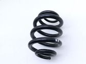 Muelle espiral trasero