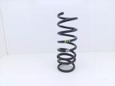 Rear coil spring