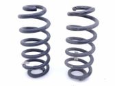 Rear coil spring