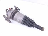 Rear shock absorber/damper