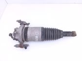 Rear shock absorber/damper