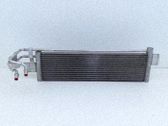 Oil filter mounting bracket