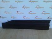 Front door trim (molding)