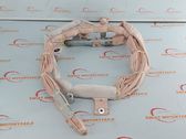 Roof airbag