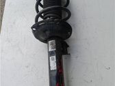 Amortiguador delantero