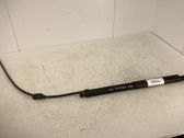 Tailgate/trunk strut/damper