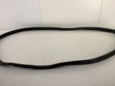 Rear door rubber seal (on body)