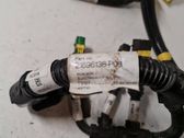 Other wiring loom