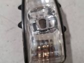 Mirror indicator light