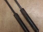 Tailgate/trunk strut/damper