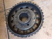 Fuel pump gear (pulley)