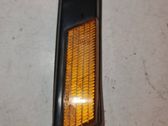 Front fender indicator light