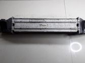 Intercooler radiator