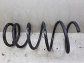 Rear coil spring