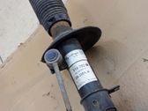 Front shock absorber/damper