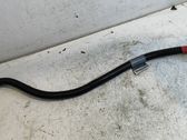 Wires (generator/alternator)