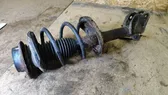 Front shock absorber with coil spring