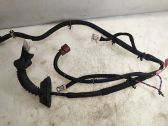 Rear door wiring loom