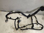 Front door wiring loom