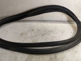 Trunk rubber seal (body)