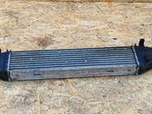 Intercooler radiator