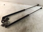 Tailgate/trunk strut/damper