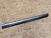 Rear door trim (molding)