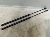 Tailgate/trunk strut/damper