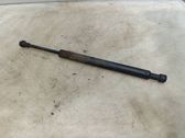 Tailgate/trunk strut/damper