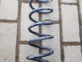 Feder hinten