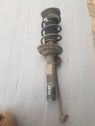 Front shock absorber with coil spring