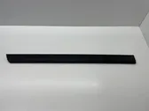 Rear door trim (molding)