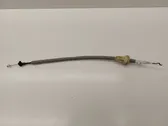 Línea de cable de puerta trasera