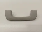 Front interior roof grab handle