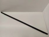 Rear door glass trim molding
