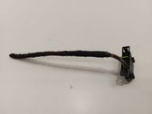 Other wiring loom