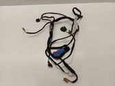 Front door wiring loom