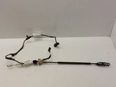 Other wiring loom