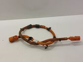 Other wiring loom