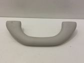 Front interior roof grab handle