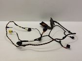 Front door wiring loom