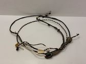 Tailgate/trunk wiring harness