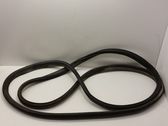 Trunk rubber seal (body)